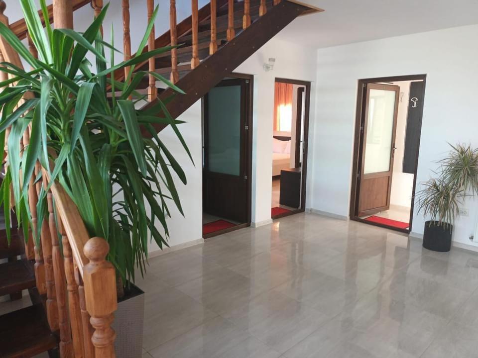 Vila Maranca Hotel Două Mai Buitenkant foto